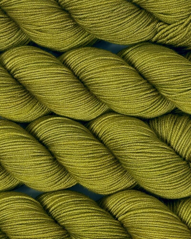 fern
